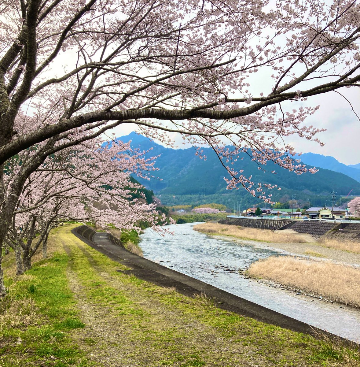 なみ🐈 tweet media