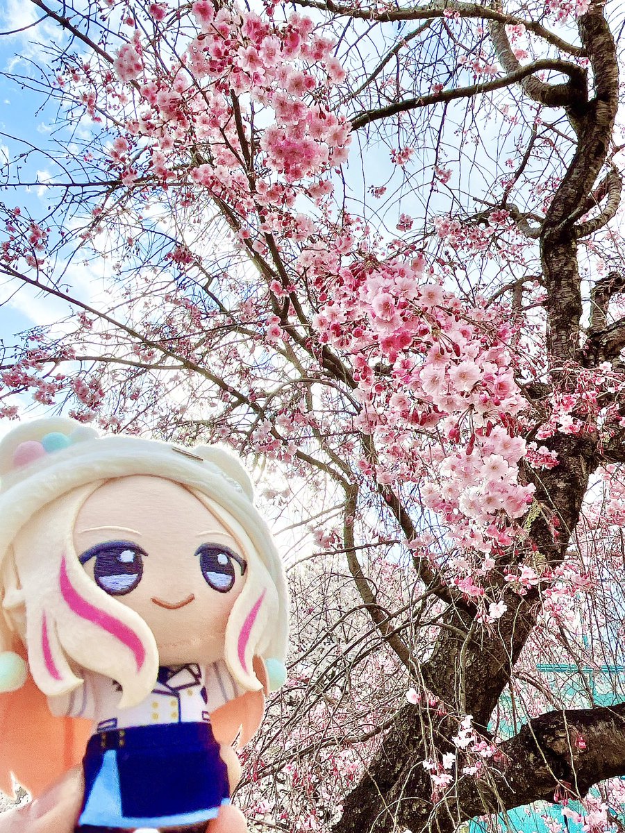 おにぎり。 tweet media