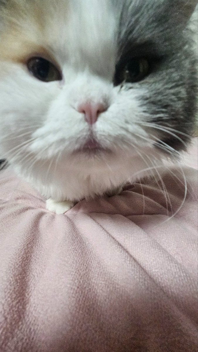 만득이 tweet media