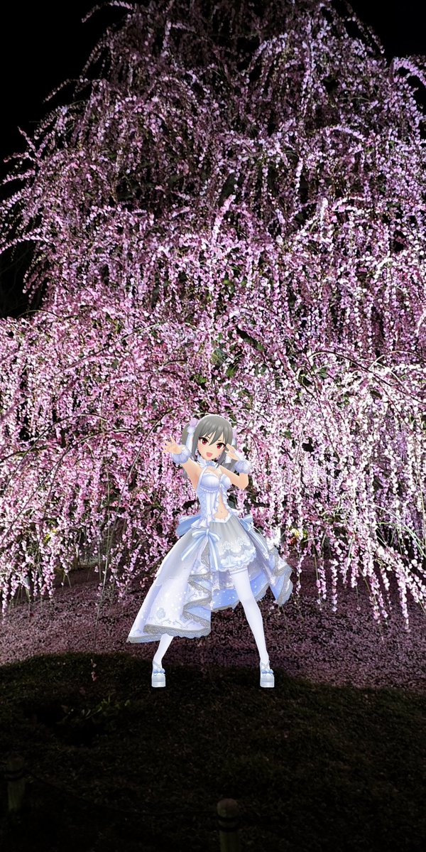 桐古堂 tweet media