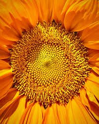 Anti.Gravity tweet media