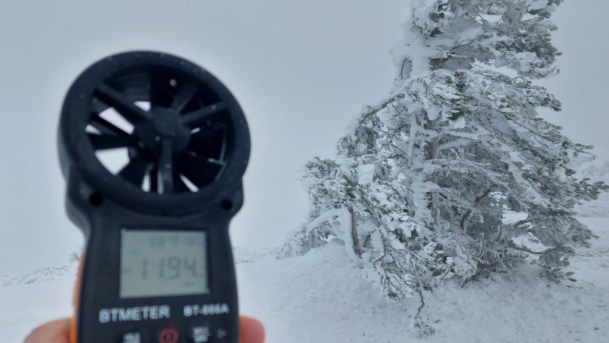 Agustín Sandoval tweet media