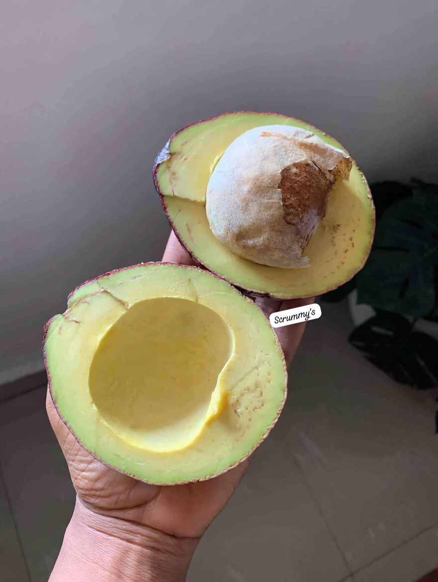 Man_of_ the_People 🐐 tweet media