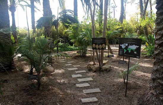 juanjo cervetto tweet media