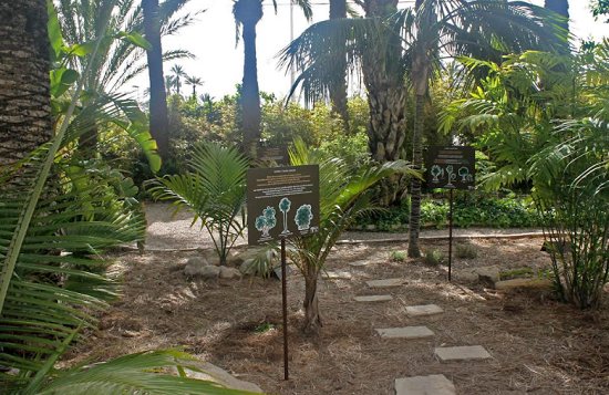 juanjo cervetto tweet media