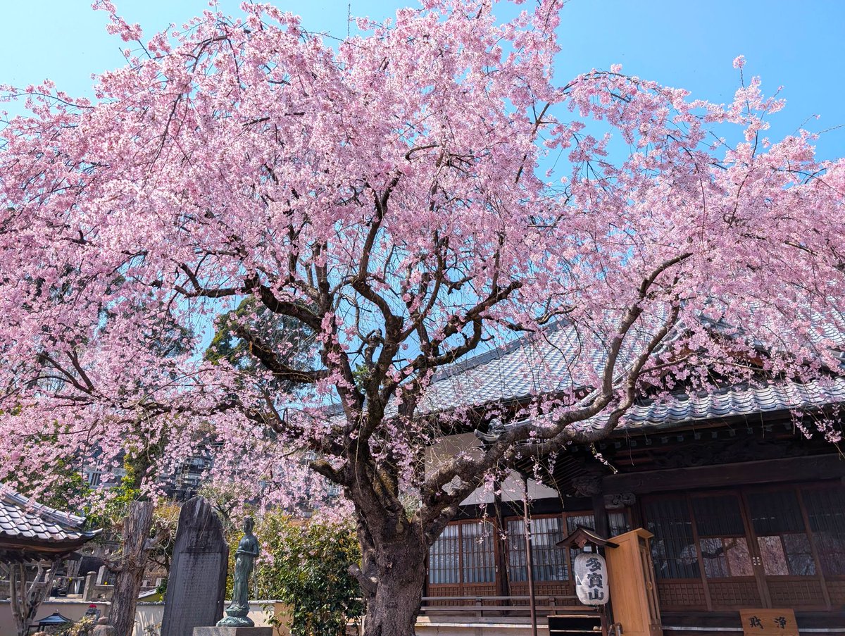 ﾄﾞﾗｲﾌﾞ400 tweet media