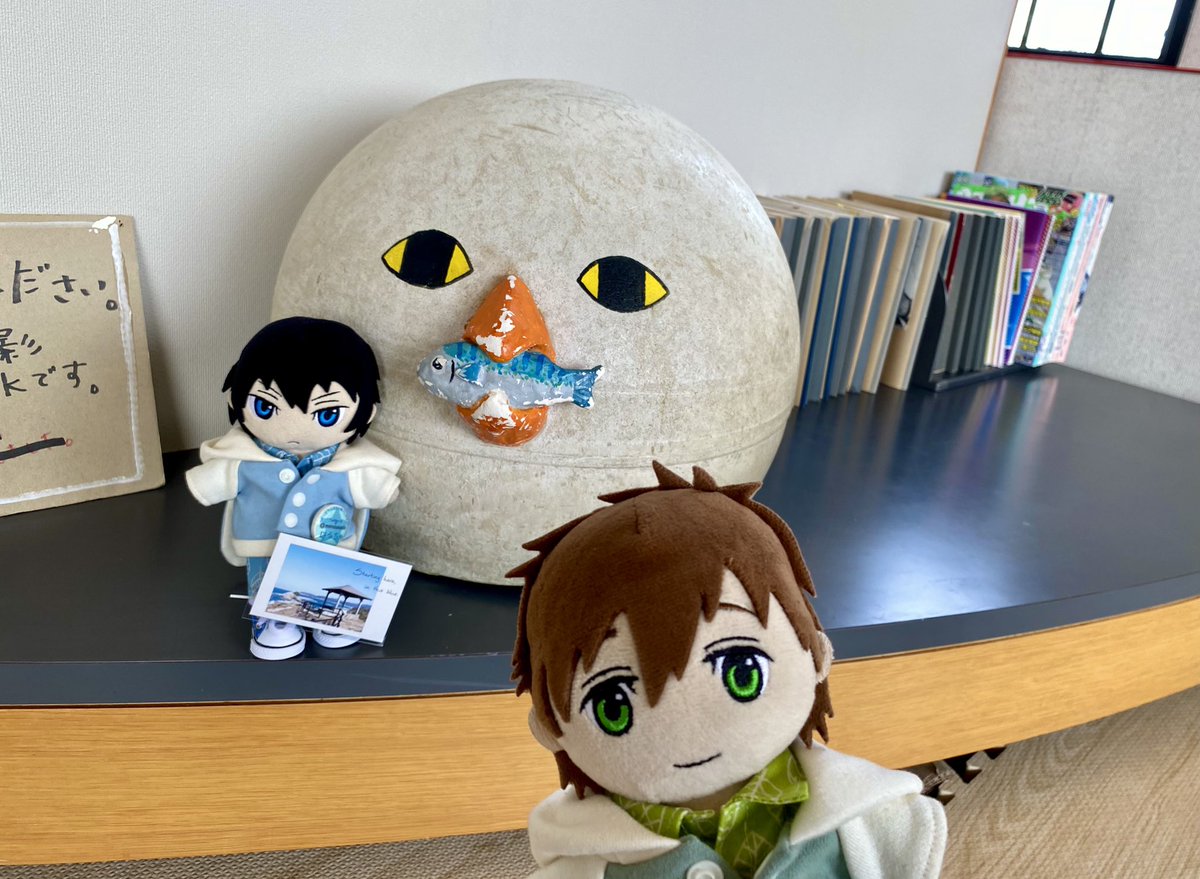 みの🐬 tweet media