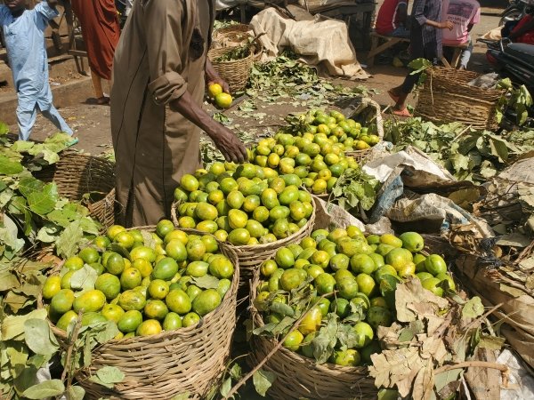 NaijaFarmer tweet media