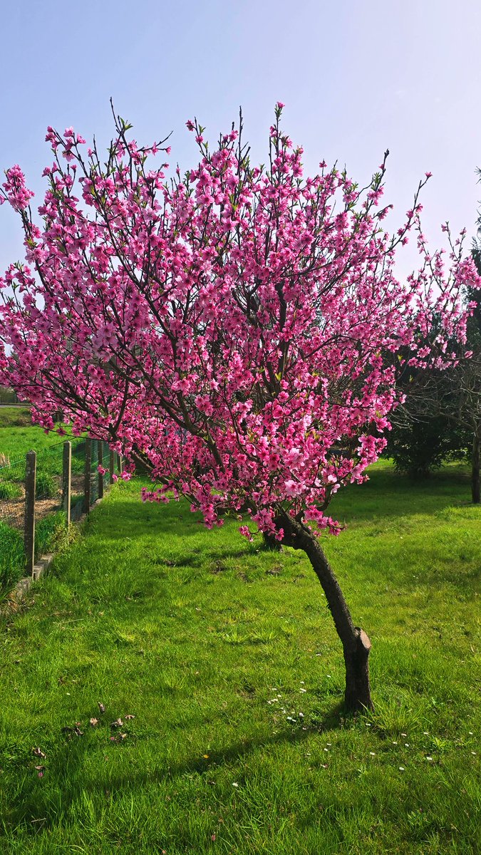 😇 made_in_breizh56 😈 tweet media