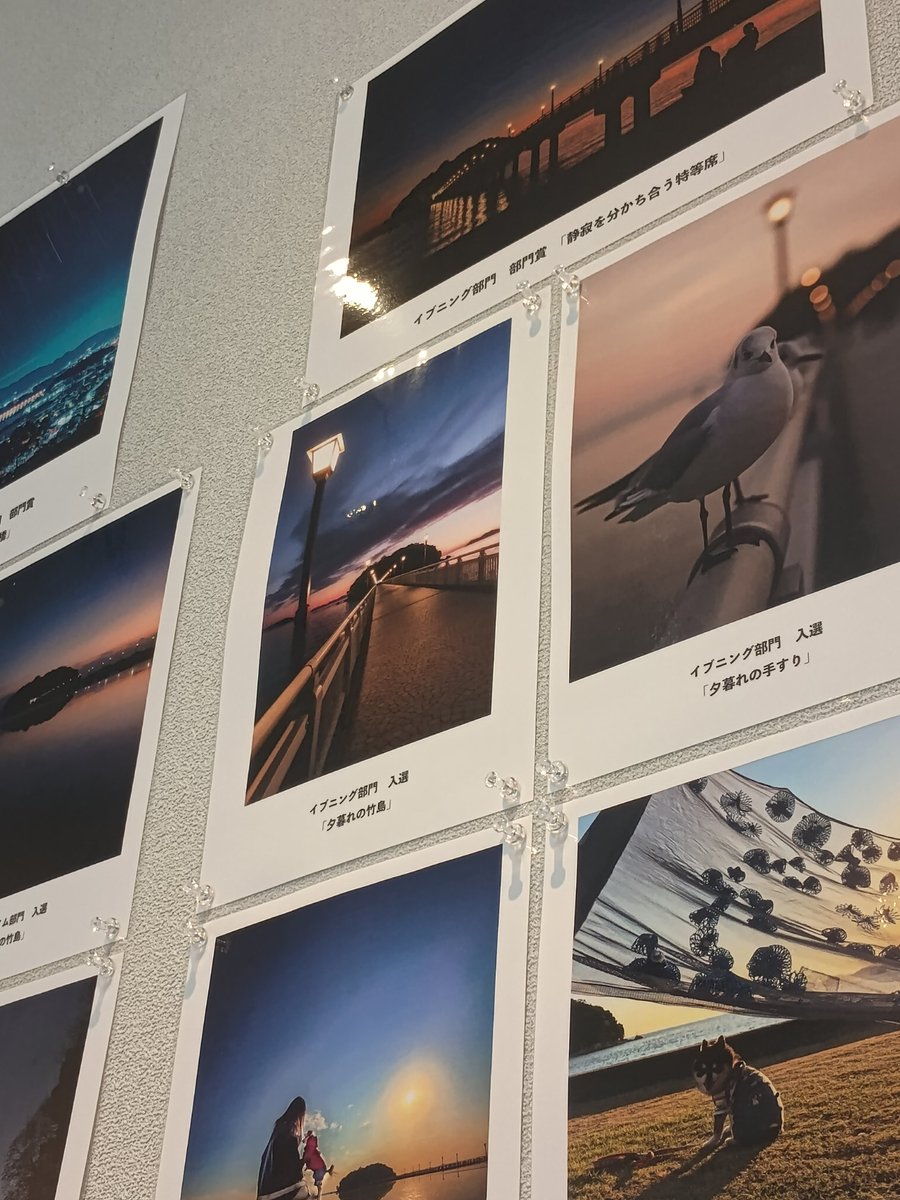 つねもり tweet media