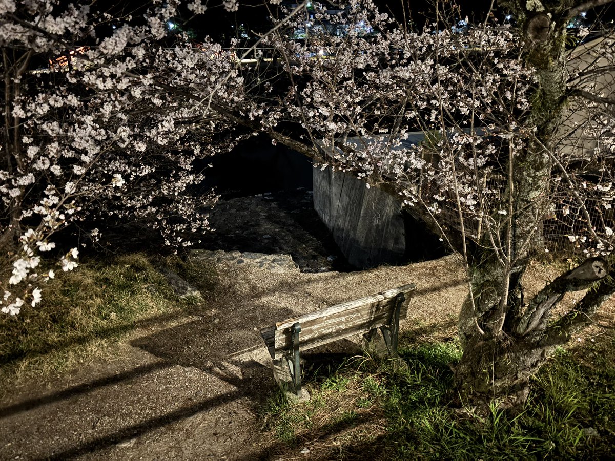 チャカ tweet media