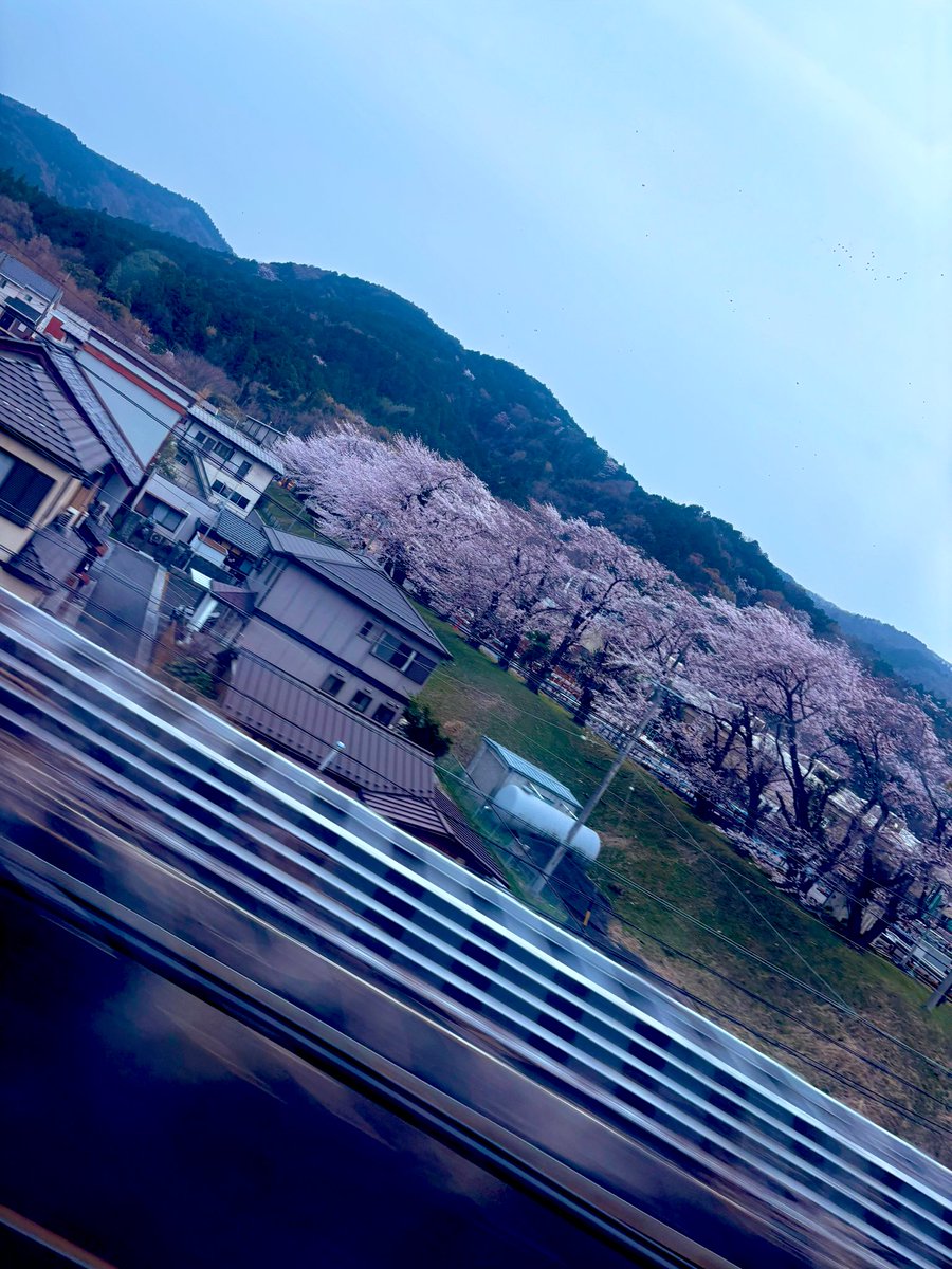 ときわ tweet media