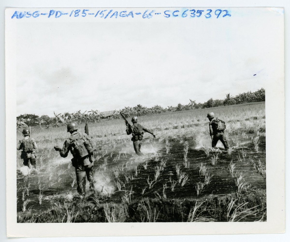 Deb Shaw tweet media