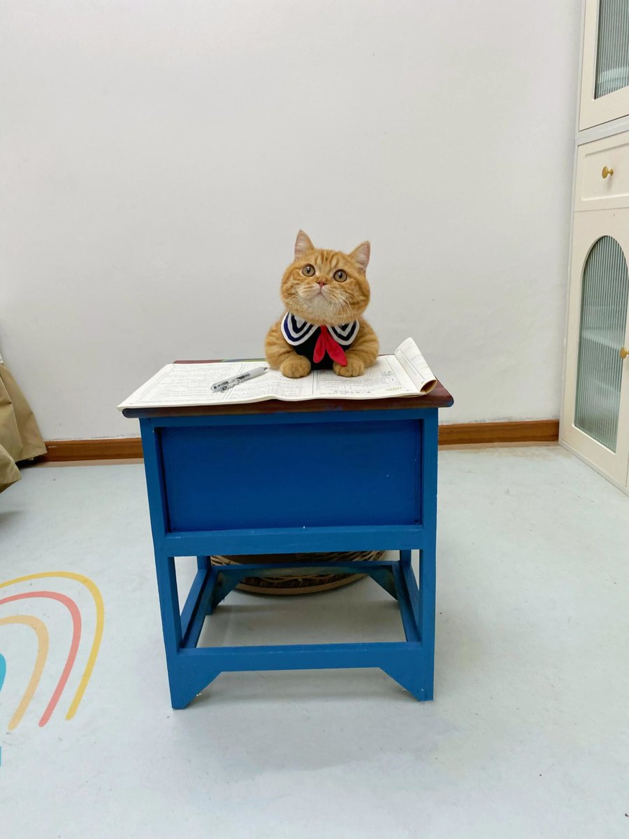 DIRTculturemaui tweet media