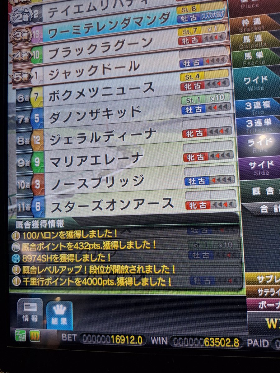 トウカイ厩舎 アドルフチャンネル tweet media