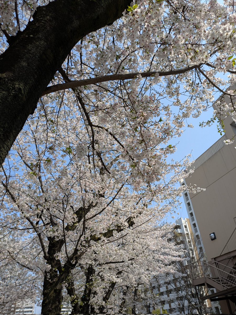 makitass tweet media