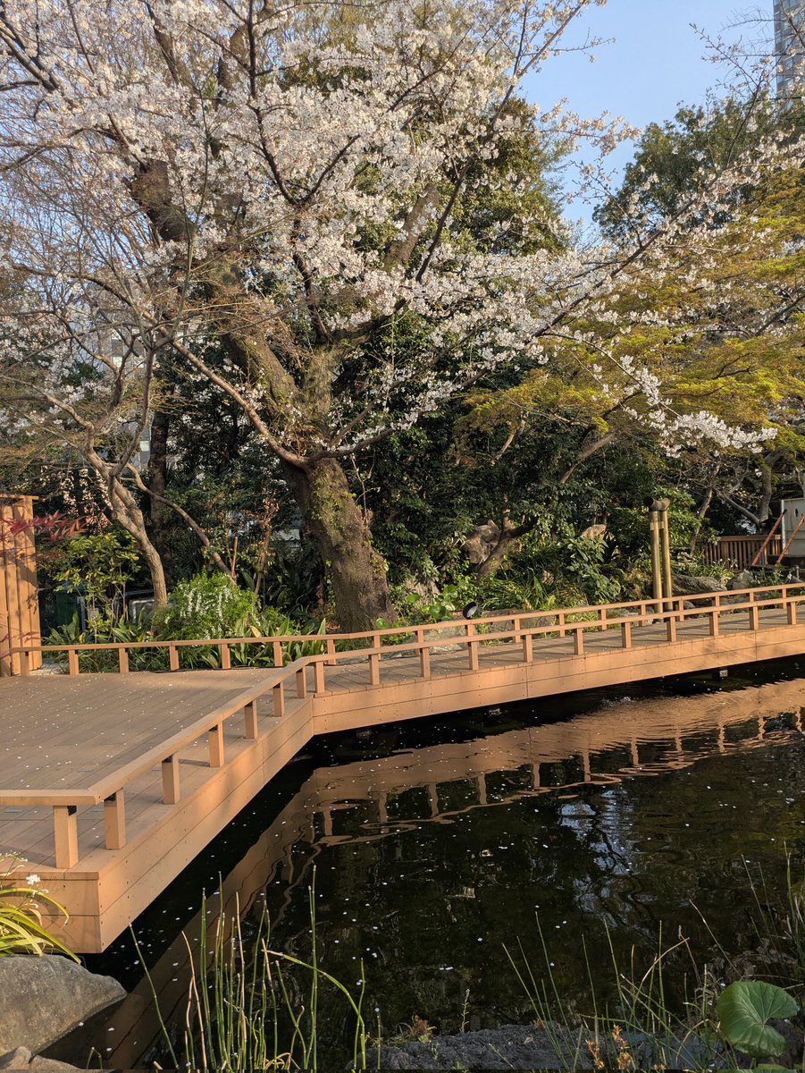 makitass tweet media