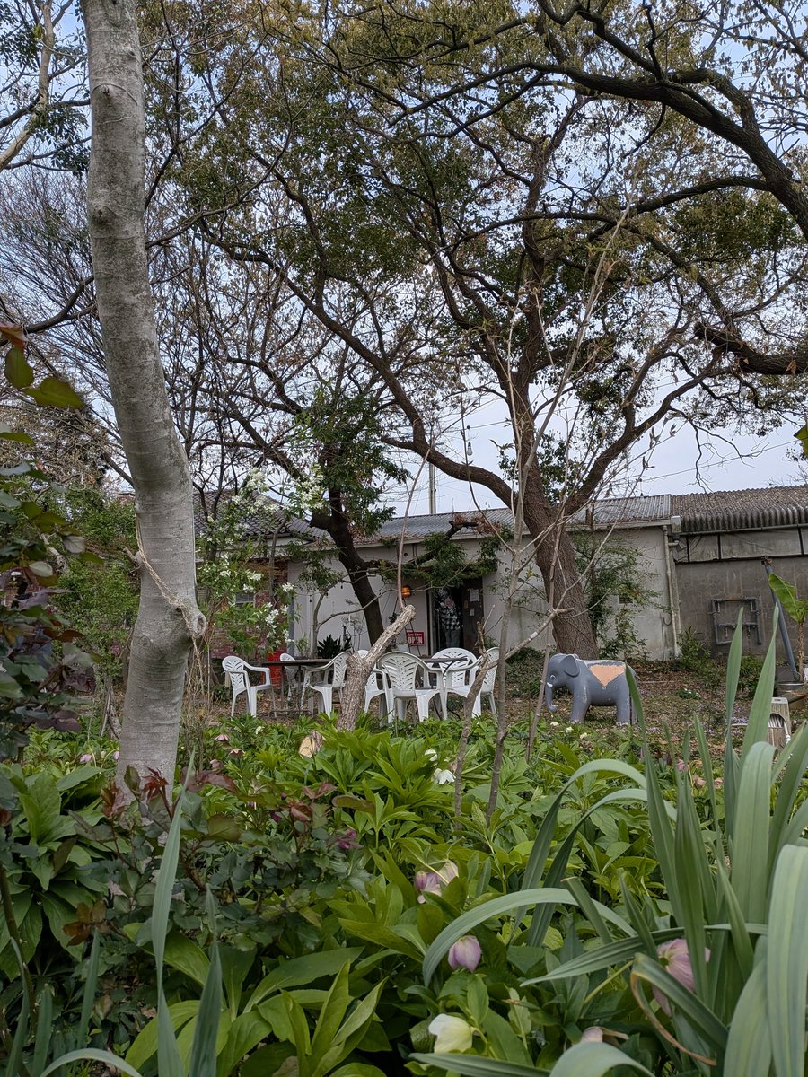 ちょーたい3/28ずとまよ福岡 tweet media