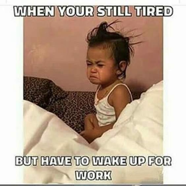 100x Altcoin Gems tweet media