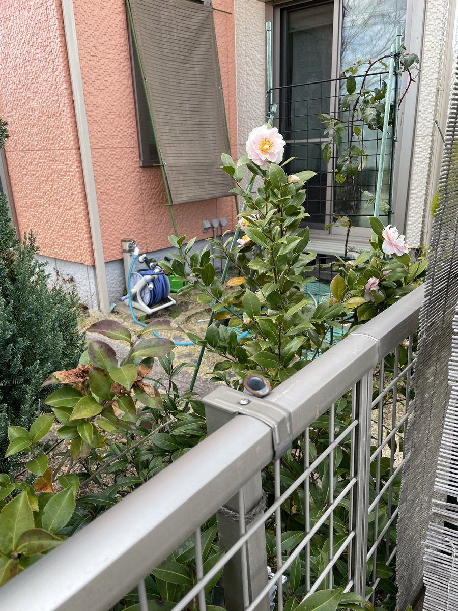 moon ticket eye ru tweet media