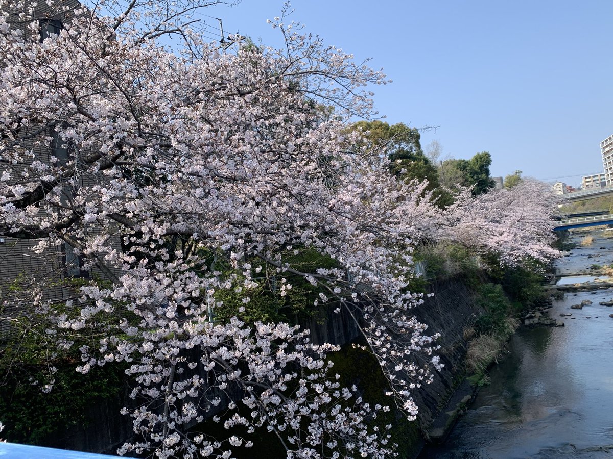 童心k2 tweet media