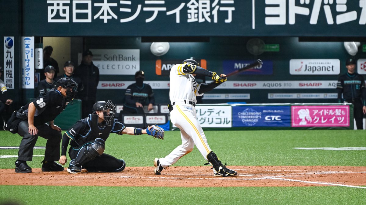 ﾔﾏﾌｫﾄ tweet media