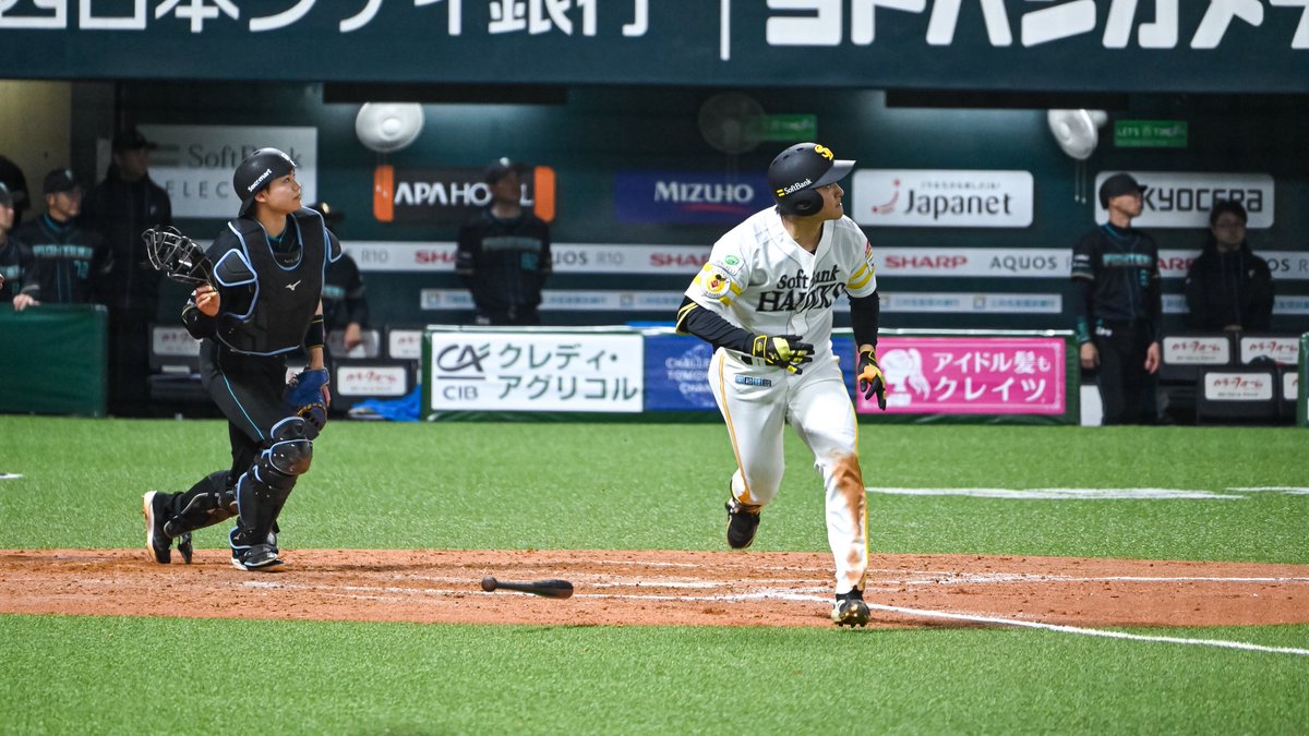 ﾔﾏﾌｫﾄ tweet media