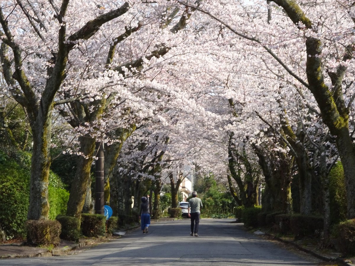 もづる tweet media