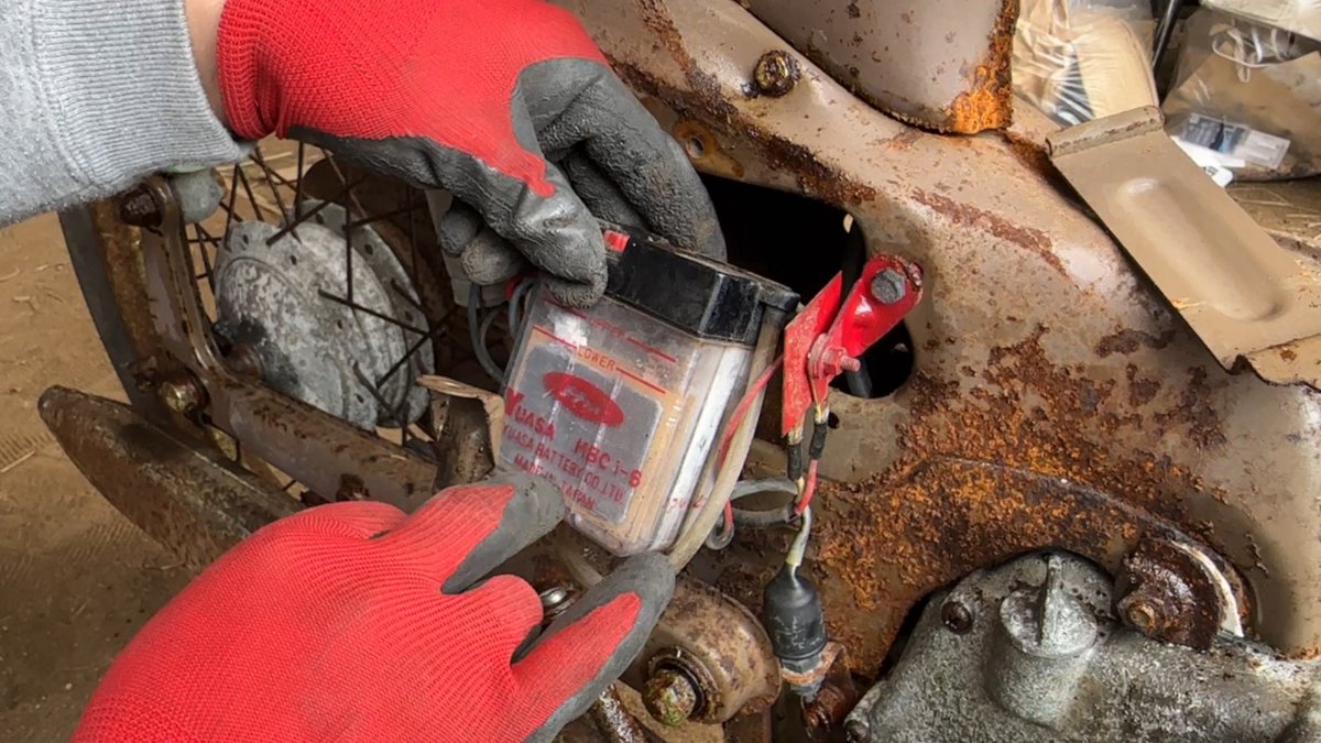 おぐら【休日はだかライフ】 tweet media