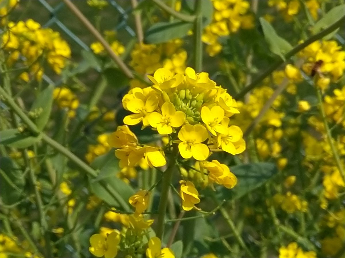 あっこ tweet media