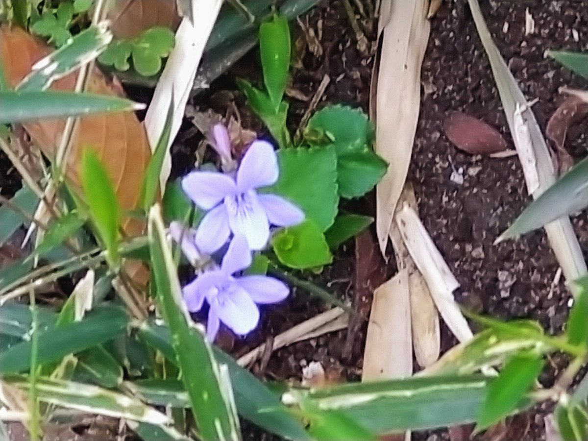 あっこ tweet media