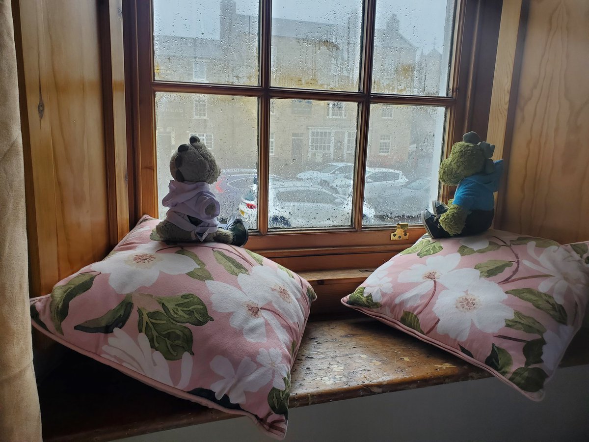 Dino the wee green dude tweet media