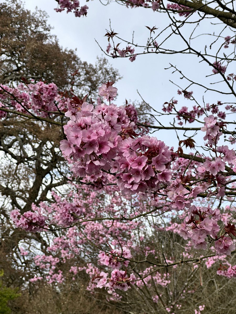 born for archporn tweet media