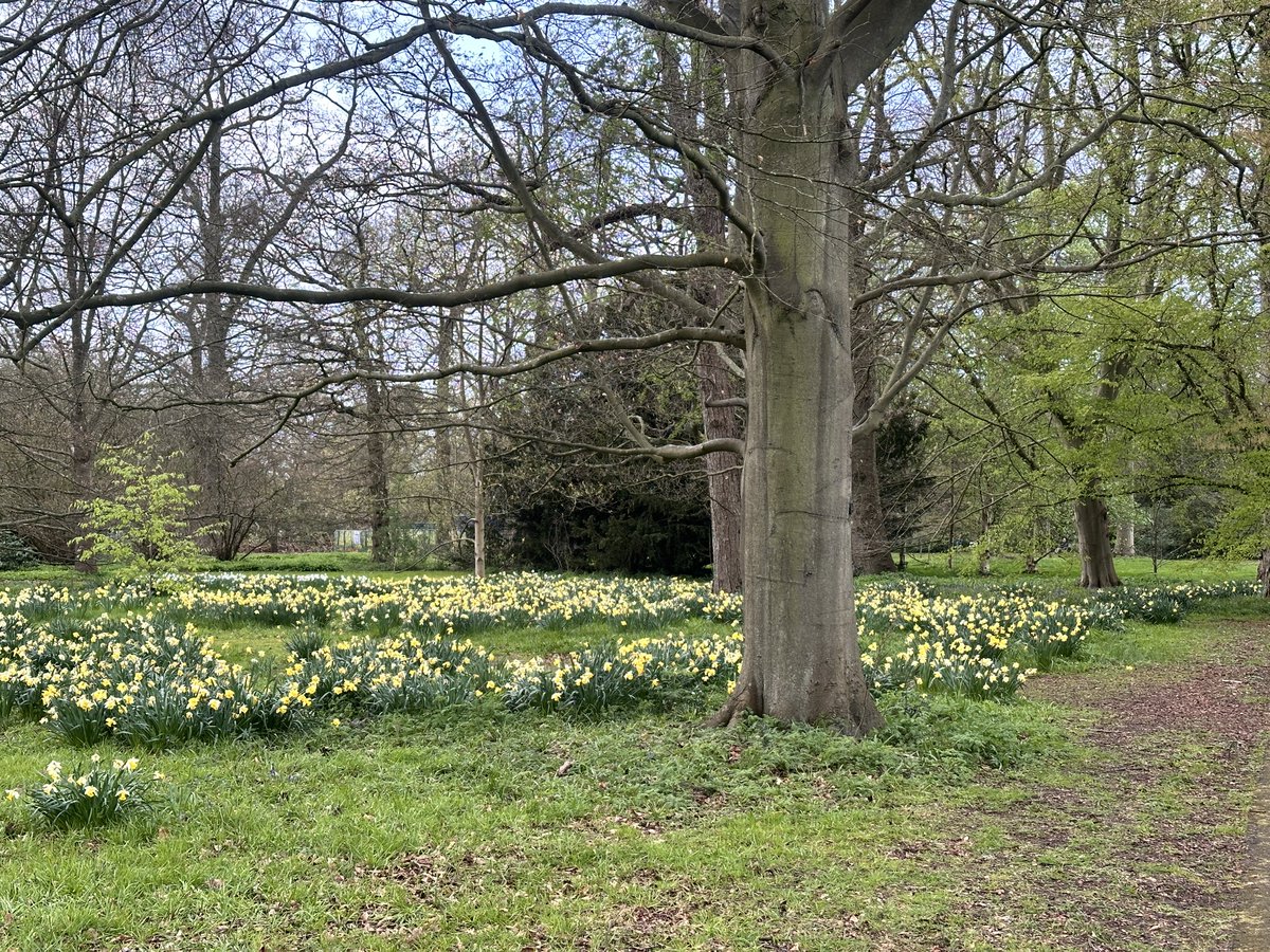 born for archporn tweet media