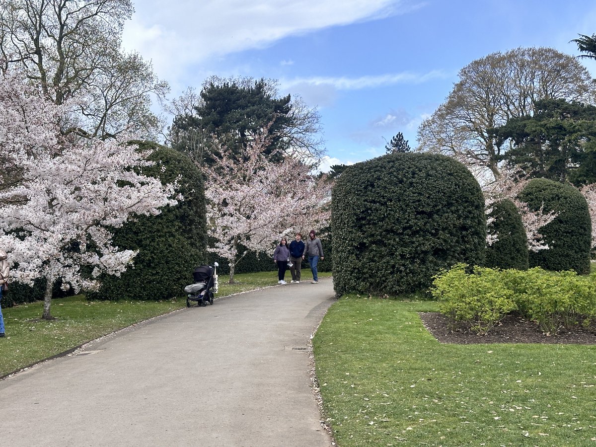 born for archporn tweet media