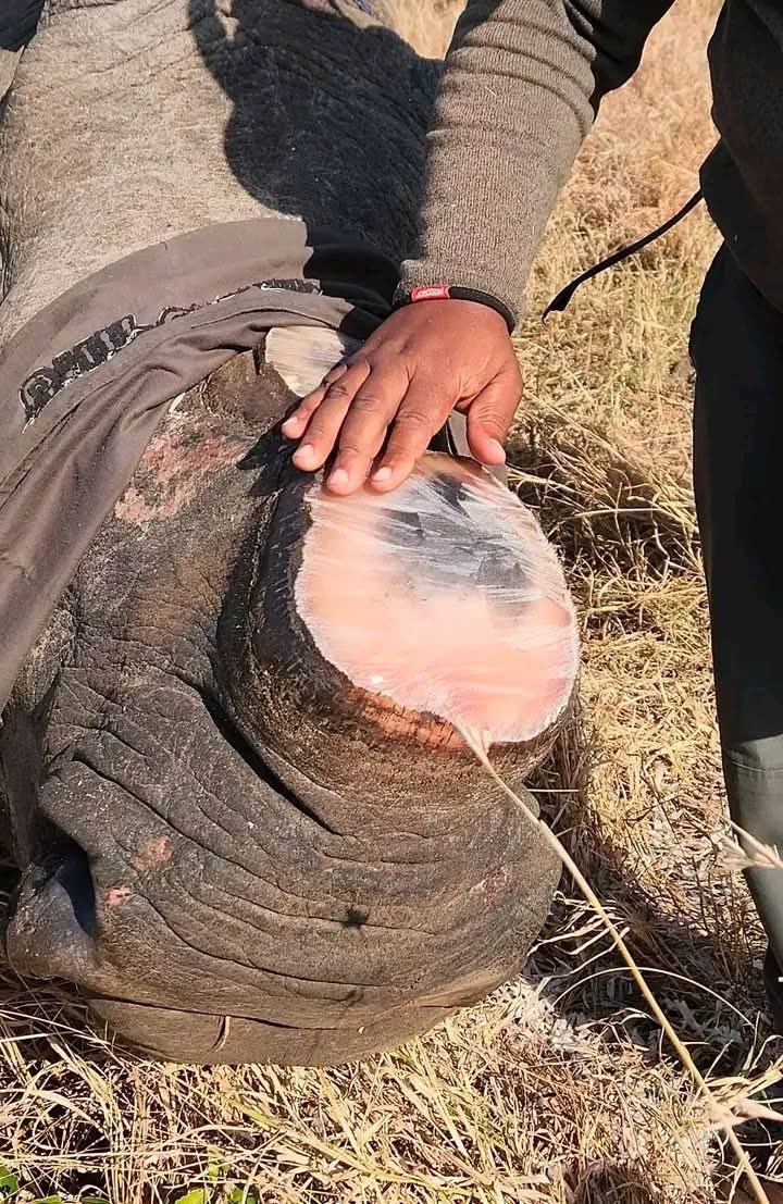 ONJOLO KENYA🇰🇪 tweet media