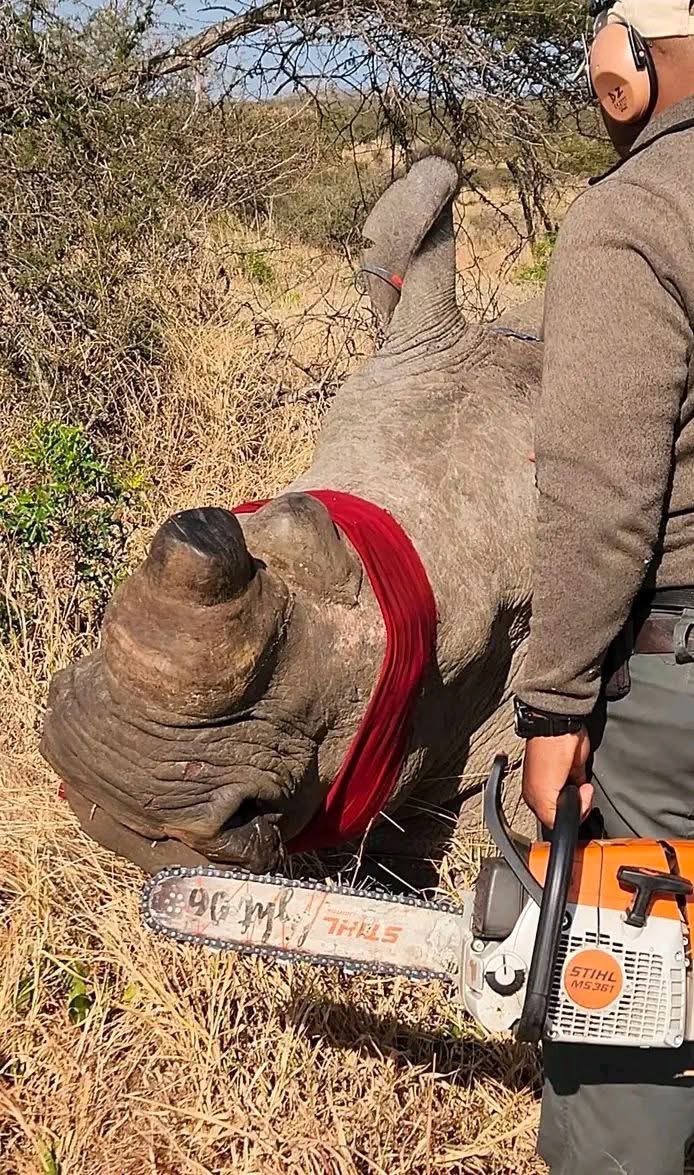 ONJOLO KENYA🇰🇪 tweet media