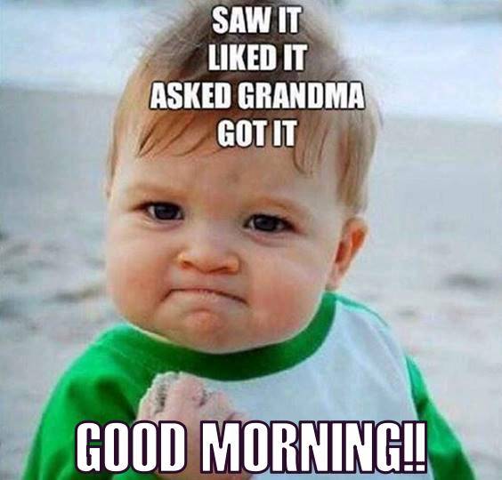 100xAltcoinGems's tweet image. GM lovely people!

Which #Altcoins are you buying &amp;amp; in which #x500 #memecoins are you investing in 2026?

Shill me your most promising picks, I want to load up my  bags💰