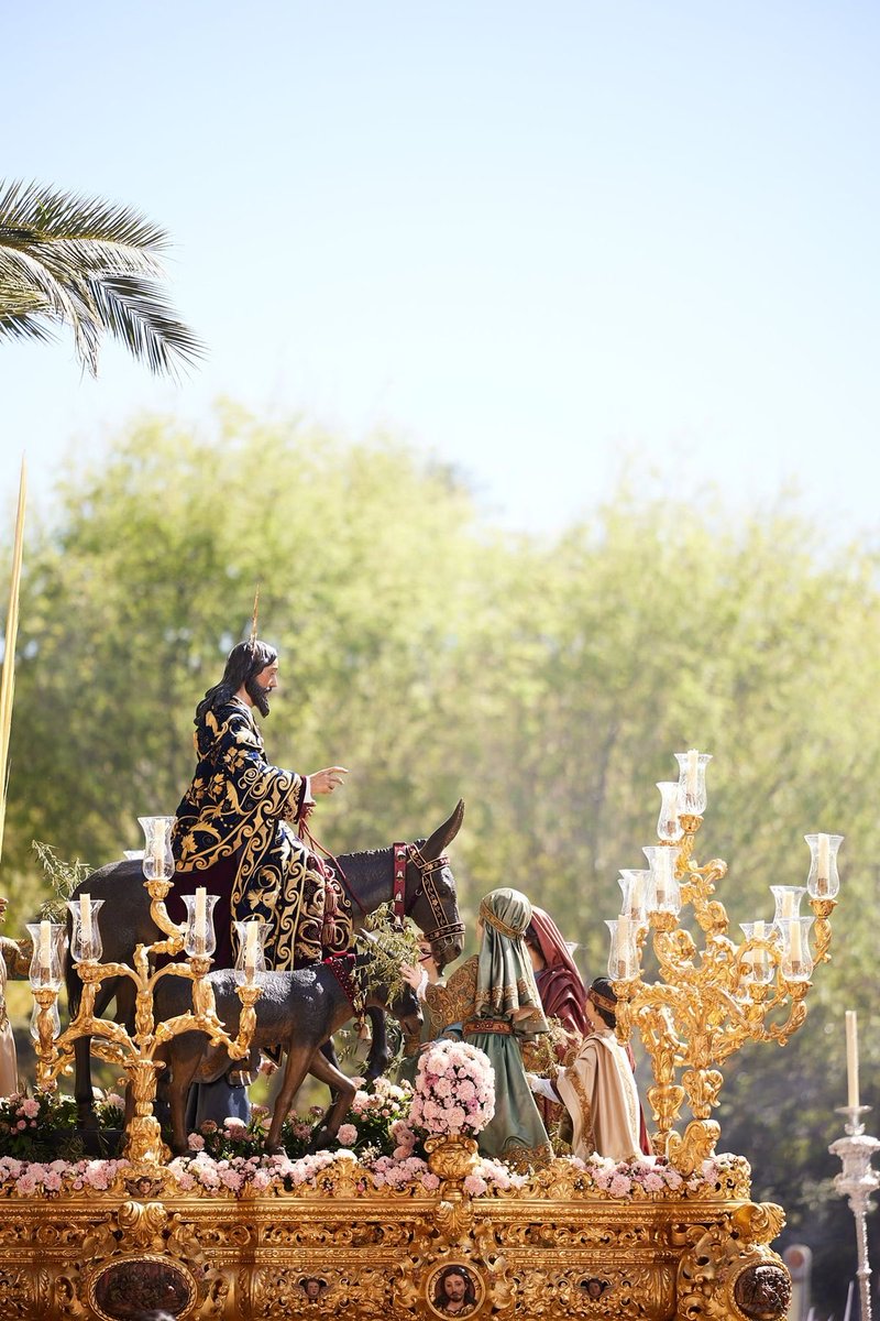 Tanto la gente que iba delante de él como la que iba detrás gritaba: —¡Hosanna al Hijo de David! —¡Bendito el que viene en el nombre del Señor! —¡Hosanna en las alturas! (Mateo 21:9)