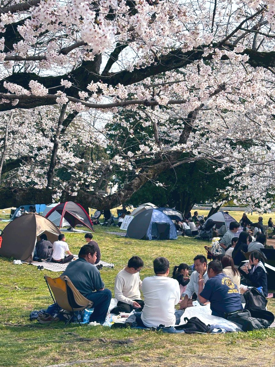 たかまー tweet media