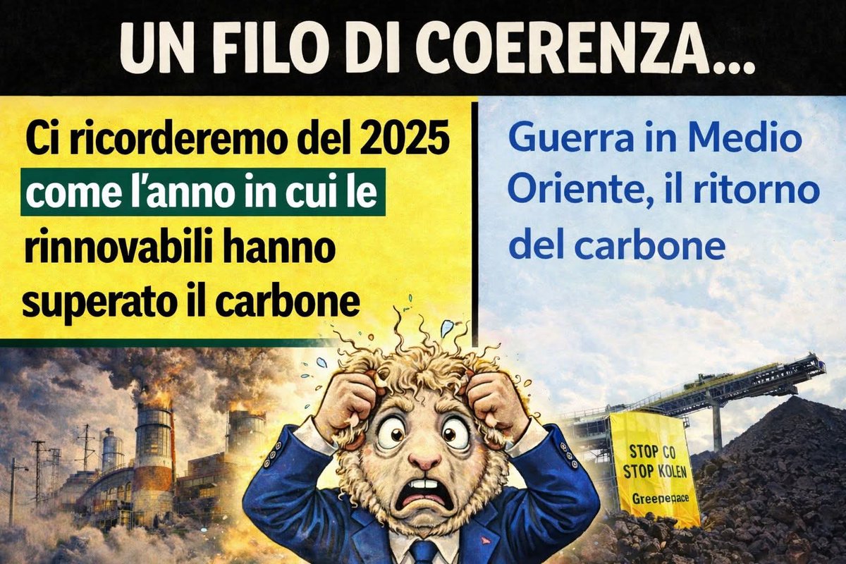 The Warrior tweet media