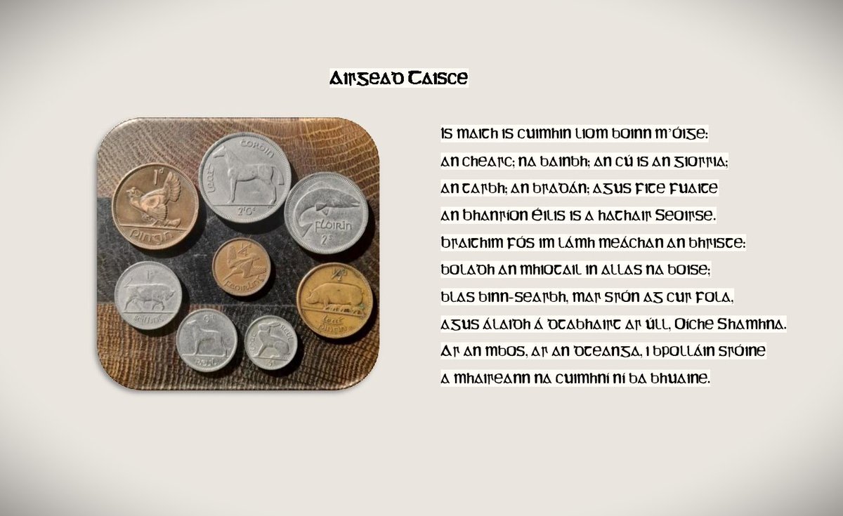 David Butler 🇵🇸 tweet media