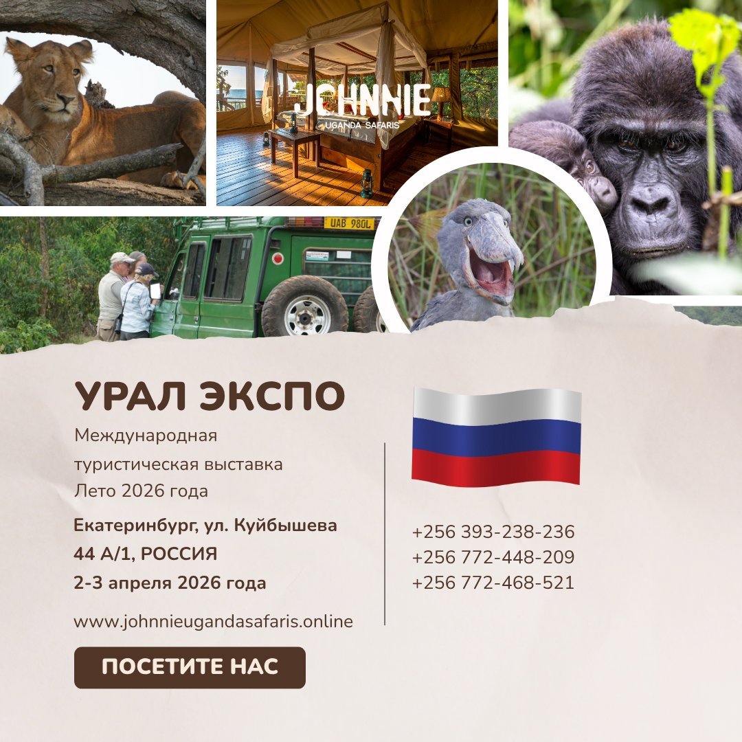 JUgandasafaris's tweet photo. 🇷🇺 Уганда на Урал Экспо! 🦁✨
Екатеринбург, откройте для себя Африку! Культурное погружение (Джонни говорит на 10 языках!), круизы по Нилу и горные гориллы. Приходите к нашему стенду!
​📍 ул. Куйбышева 44 А/1
📅 2–3 апреля
⏰ 10.00–18.00
​🇺🇬 #JohnnieUgandaSafaris
#УралЭкспо https://t.co/WlzE2MBxd1