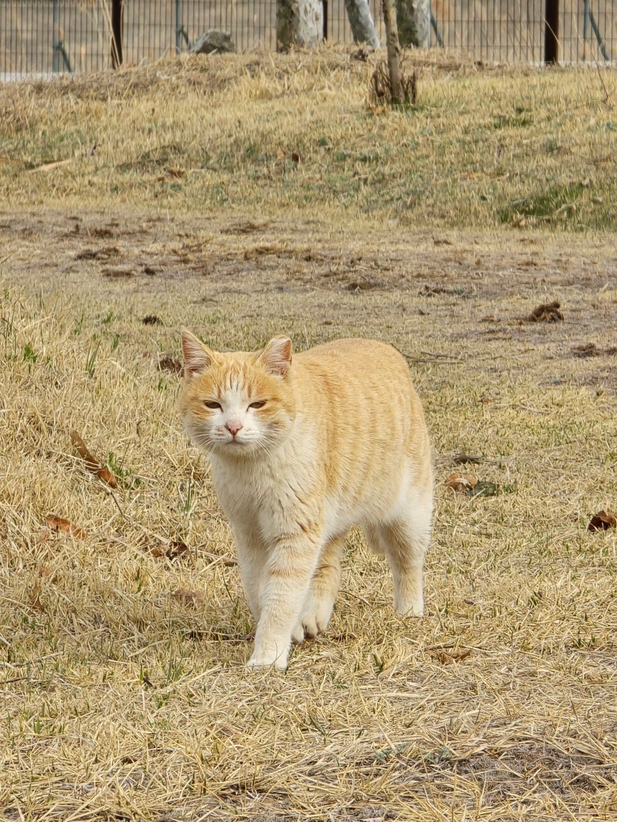 국립세종수목원 처돌이🕯 tweet media