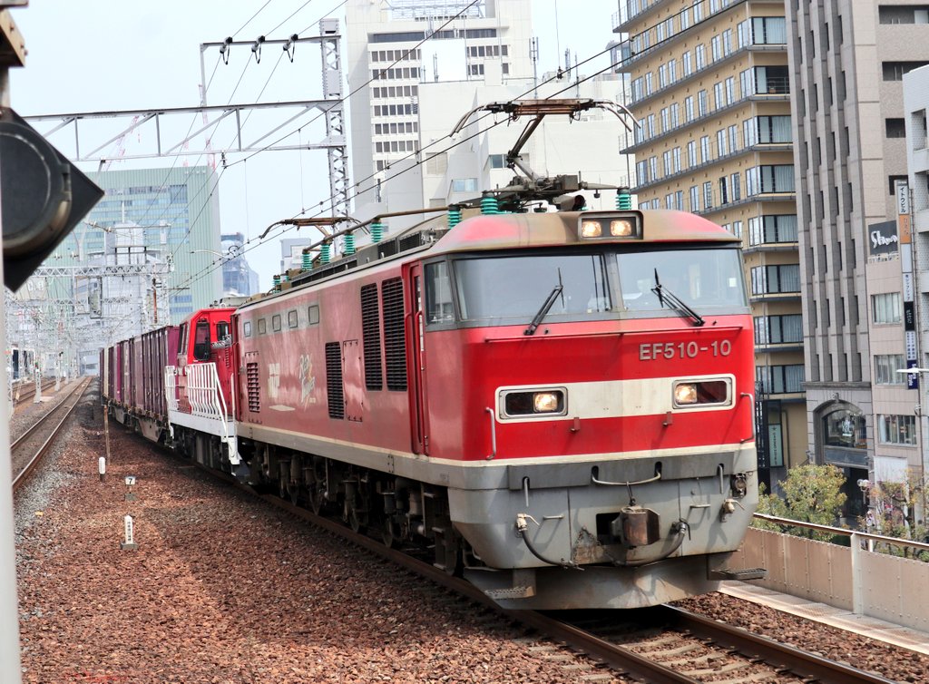 金魚のひろし tweet media