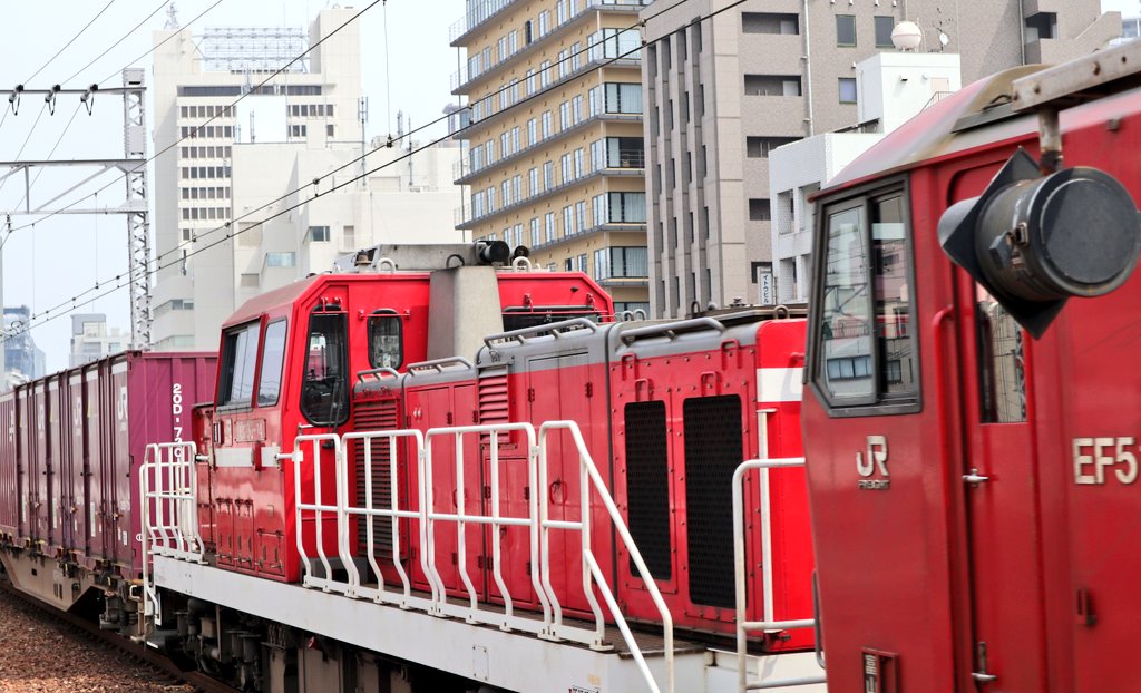 金魚のひろし tweet media