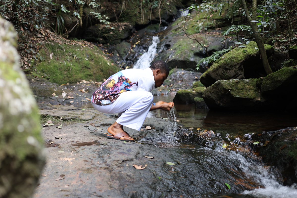 David GMI 🌍💎 tweet media