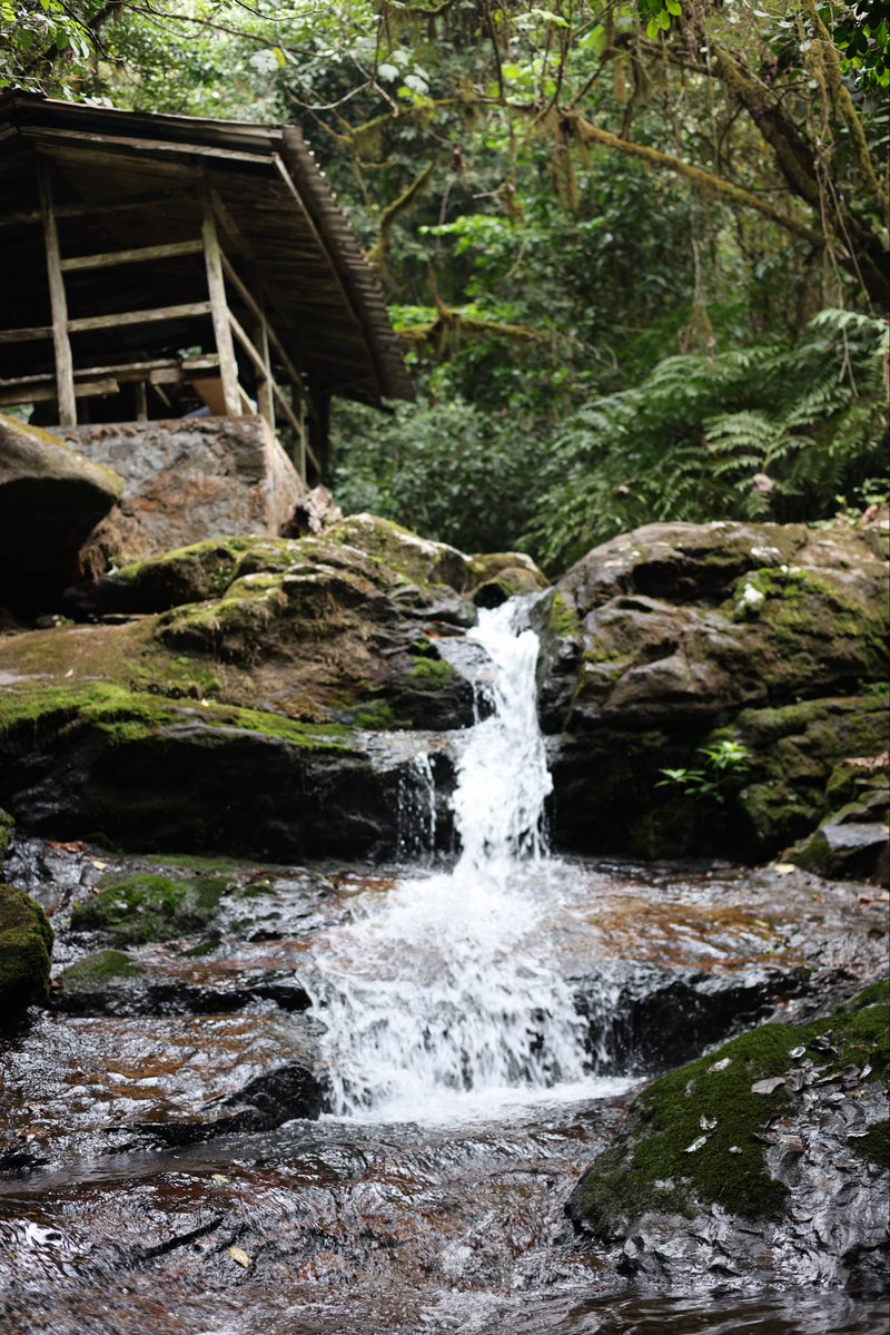 David GMI 🌍💎 tweet media