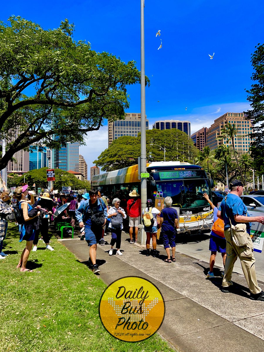 Daily bus photo? tweet media