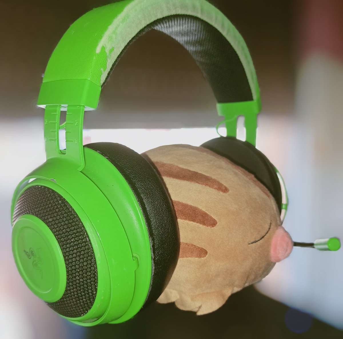 Daily Swinub tweet media